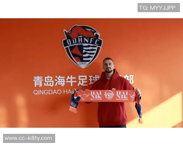 媒体人透露泰山中卫外援进展缓慢多位经纪人推荐新外援人选